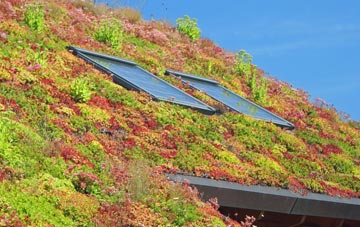 Forest Head living roof systems