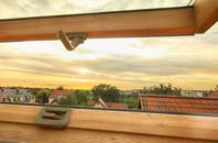 rated Forest Head roof window companies